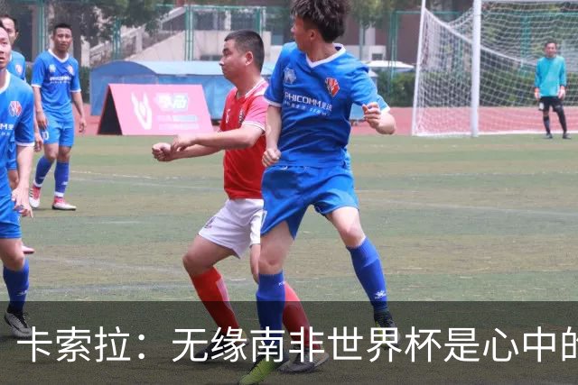 卡索拉：无缘南非世界杯是心中的刺