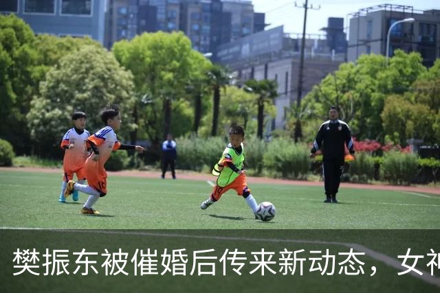 樊振东被催婚后传来新动态，女神身价超20亿美元，难怪拒绝百万带薪假